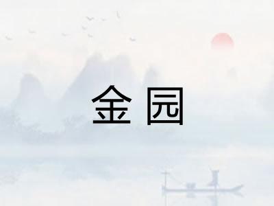 金园