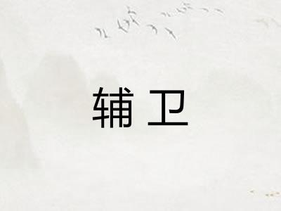 辅卫