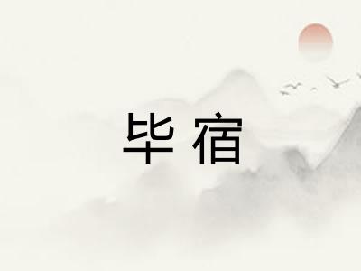 毕宿