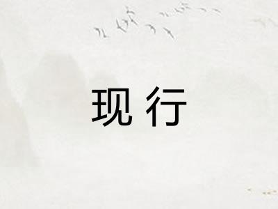 现行 现行