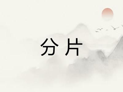 分片 分片