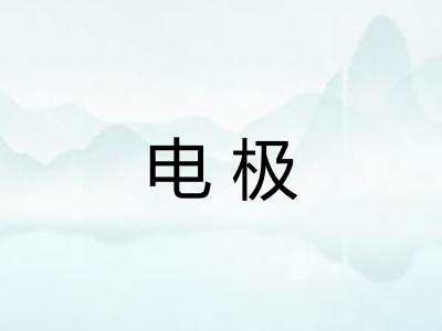电极 电极