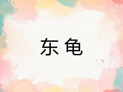 东龟
