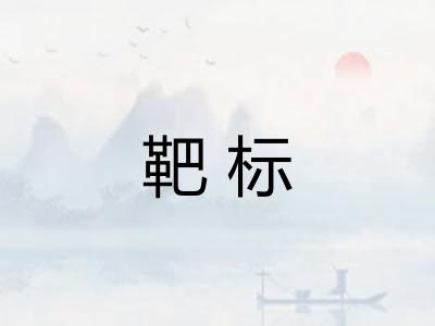 靶标 靶标