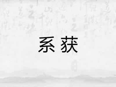 系获 系获