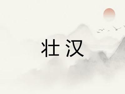 壮汉