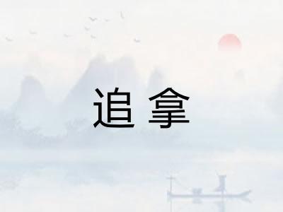 追拿 追拿