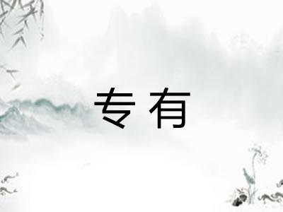 专有 专有
