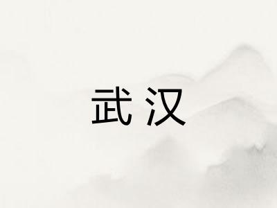 武汉