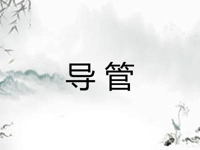 导管