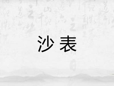 沙表