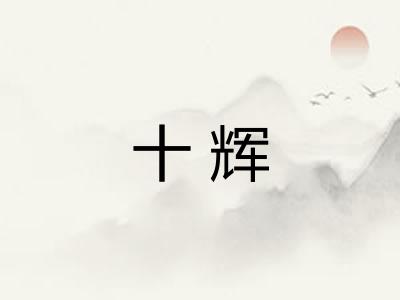 十辉