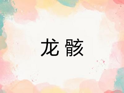 龙骸