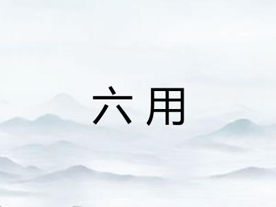 六用