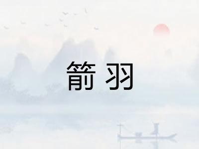 箭羽 箭羽