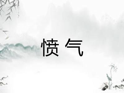 愤气