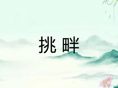 挑畔