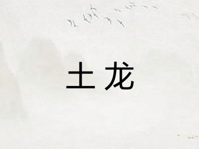 土龙 土龙