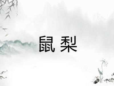 鼠梨