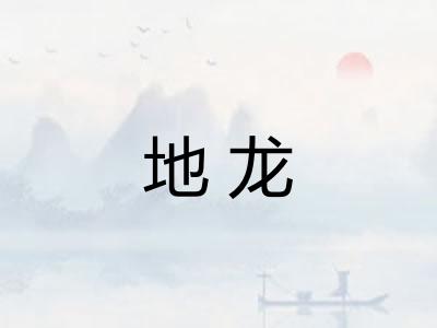 地龙 地龙
