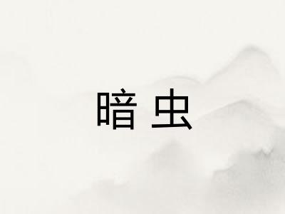 暗虫