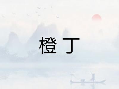 橙丁 橙丁