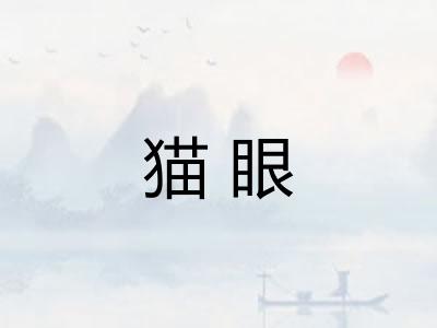 猫眼
