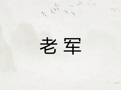 老军 老军
