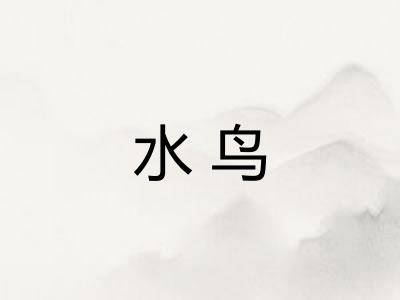 水鸟 水鸟