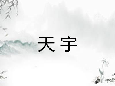 天宇 天宇