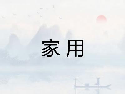 家用