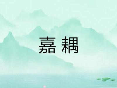 嘉耦