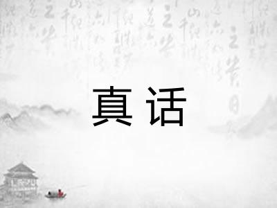 真话 真话