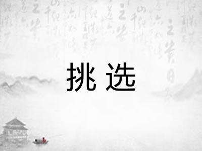 挑选 挑选