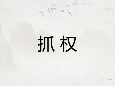 抓权