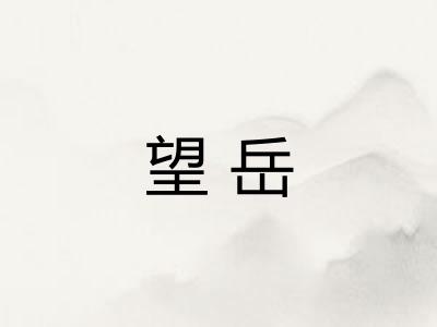 望岳