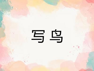 写鸟 写鸟
