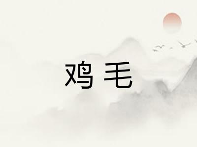 鸡毛