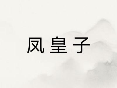 凤皇子