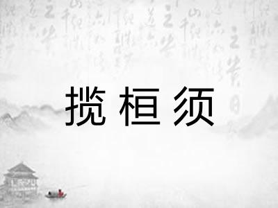 揽桓须