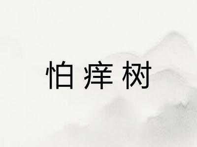 怕痒树