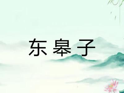 东皋子 东皋子