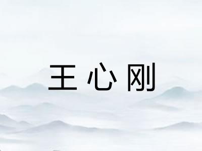 王心刚 王心刚