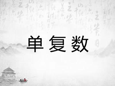 单复数 单复数