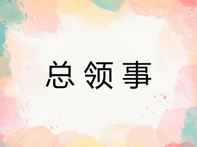 总领事