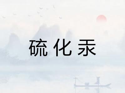 硫化汞 硫化汞
