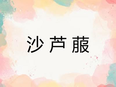 沙芦菔