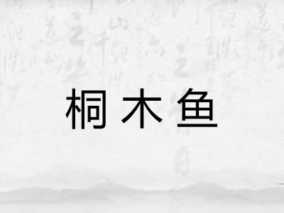 桐木鱼 桐木鱼