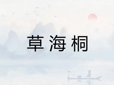 草海桐 草海桐