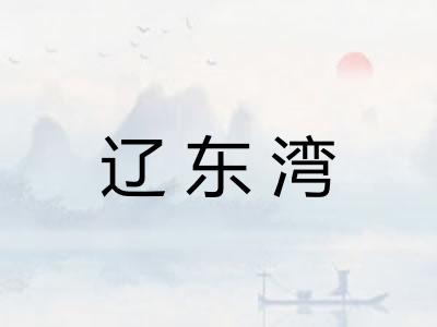 辽东湾 辽东湾